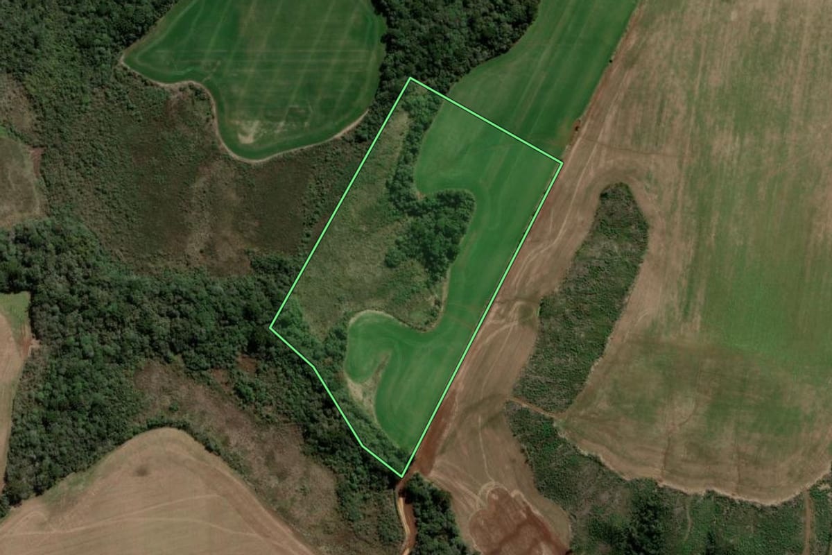 Imagem de satélite do imóvel rural em Lagoa Vermelha (RS), com o contorno declarado no CAR desenhado por cima.