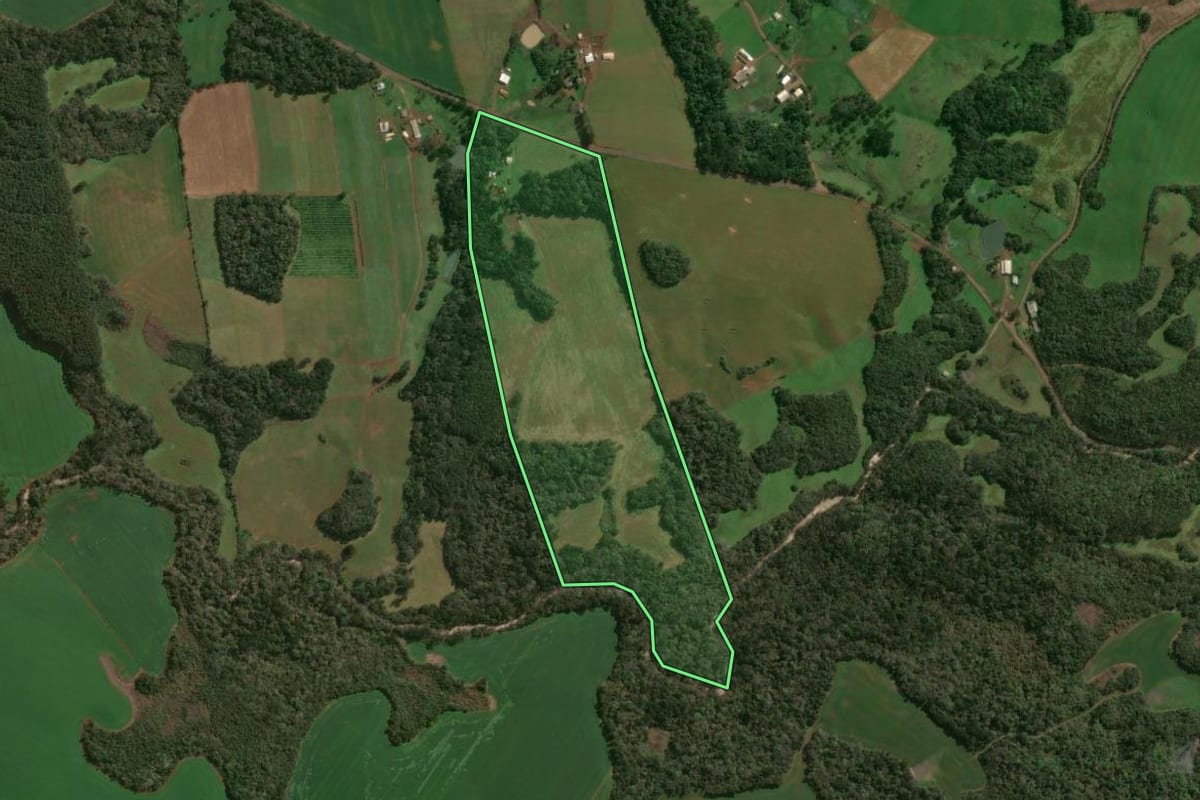 Imagem de satélite do imóvel rural em Lagoa Vermelha (RS), com o contorno declarado no CAR desenhado por cima.