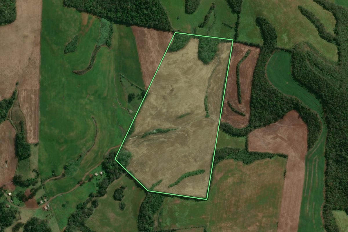 Imagem de satélite do imóvel rural em Lagoa Vermelha (RS), com o contorno declarado no CAR desenhado por cima.