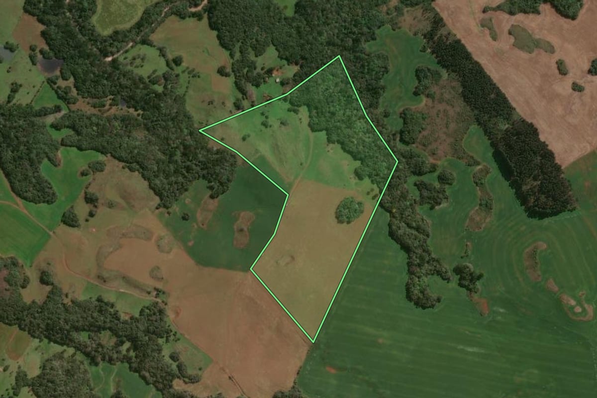 Imagem de satélite do imóvel rural em Lagoa Vermelha (RS), com o contorno declarado no CAR desenhado por cima.