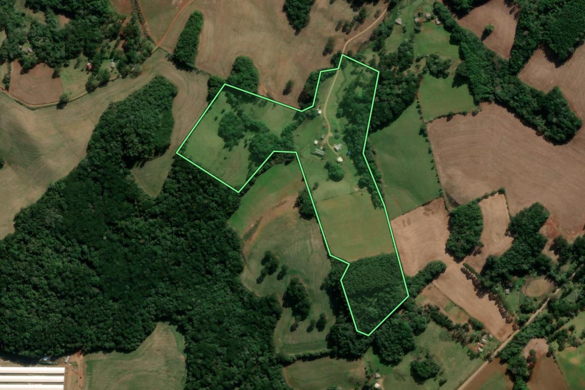 Imagem de satélite do imóvel rural em Lagoa Vermelha (RS), com o contorno declarado no CAR desenhado por cima.