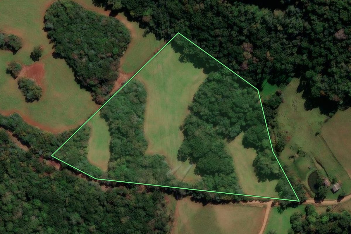 Imagem de satélite do imóvel rural em Lagoa Vermelha (RS), com o contorno declarado no CAR desenhado por cima.
