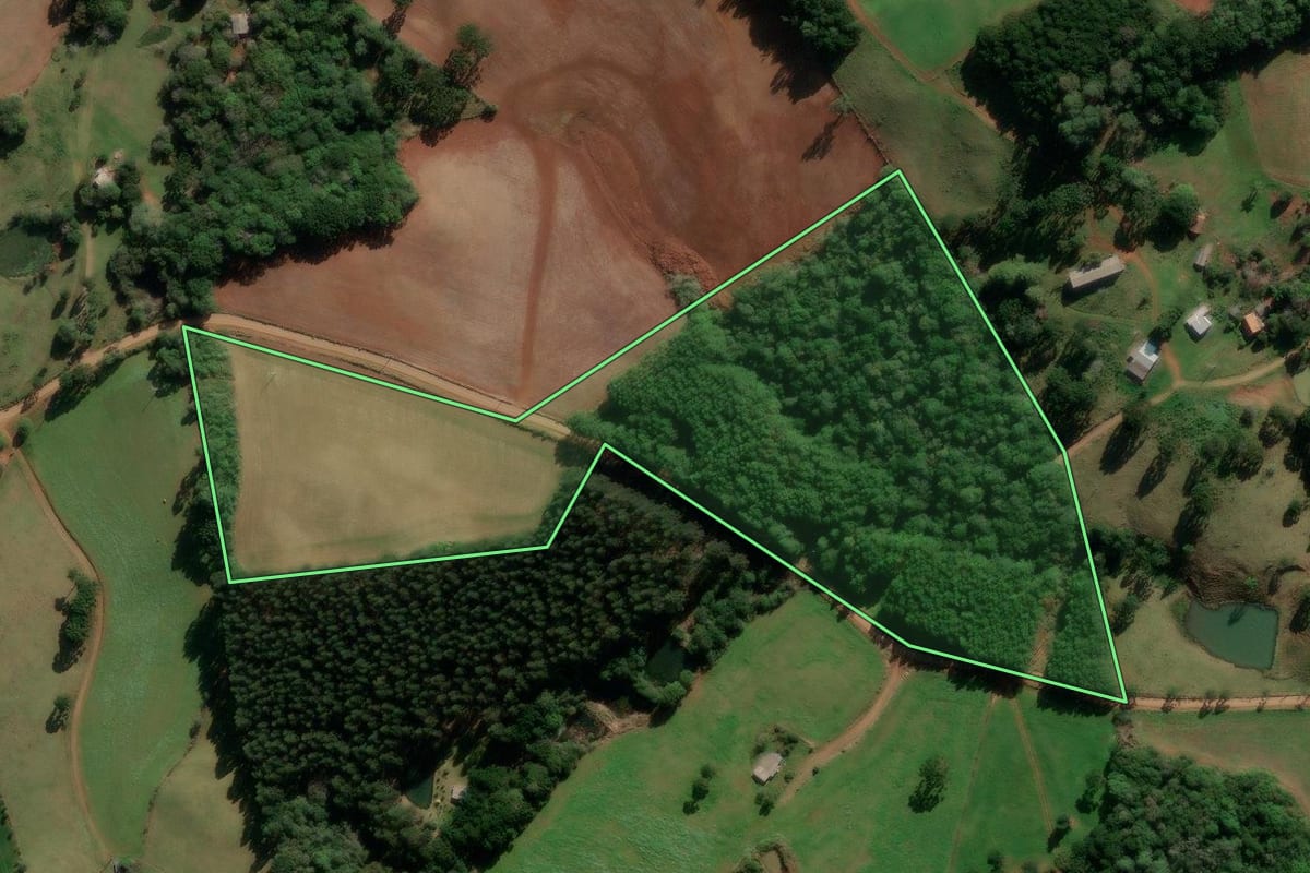 Imagem de satélite do imóvel rural em Lagoa Vermelha (RS), com o contorno declarado no CAR desenhado por cima.