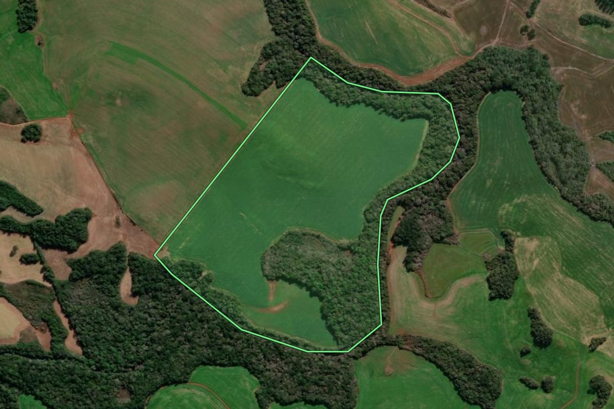 Imagem de satélite do imóvel rural em Lagoa Vermelha (RS), com o contorno declarado no CAR desenhado por cima.