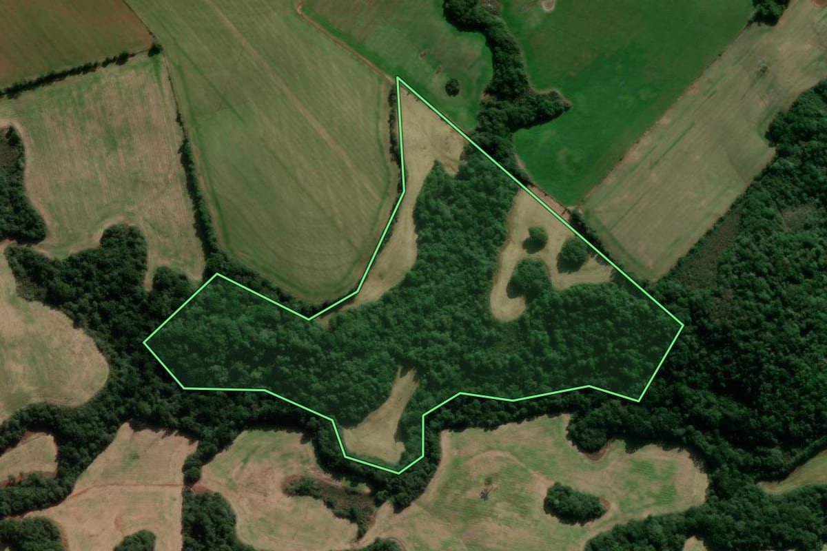 Imagem de satélite do imóvel rural em Lagoa Vermelha (RS), com o contorno declarado no CAR desenhado por cima.
