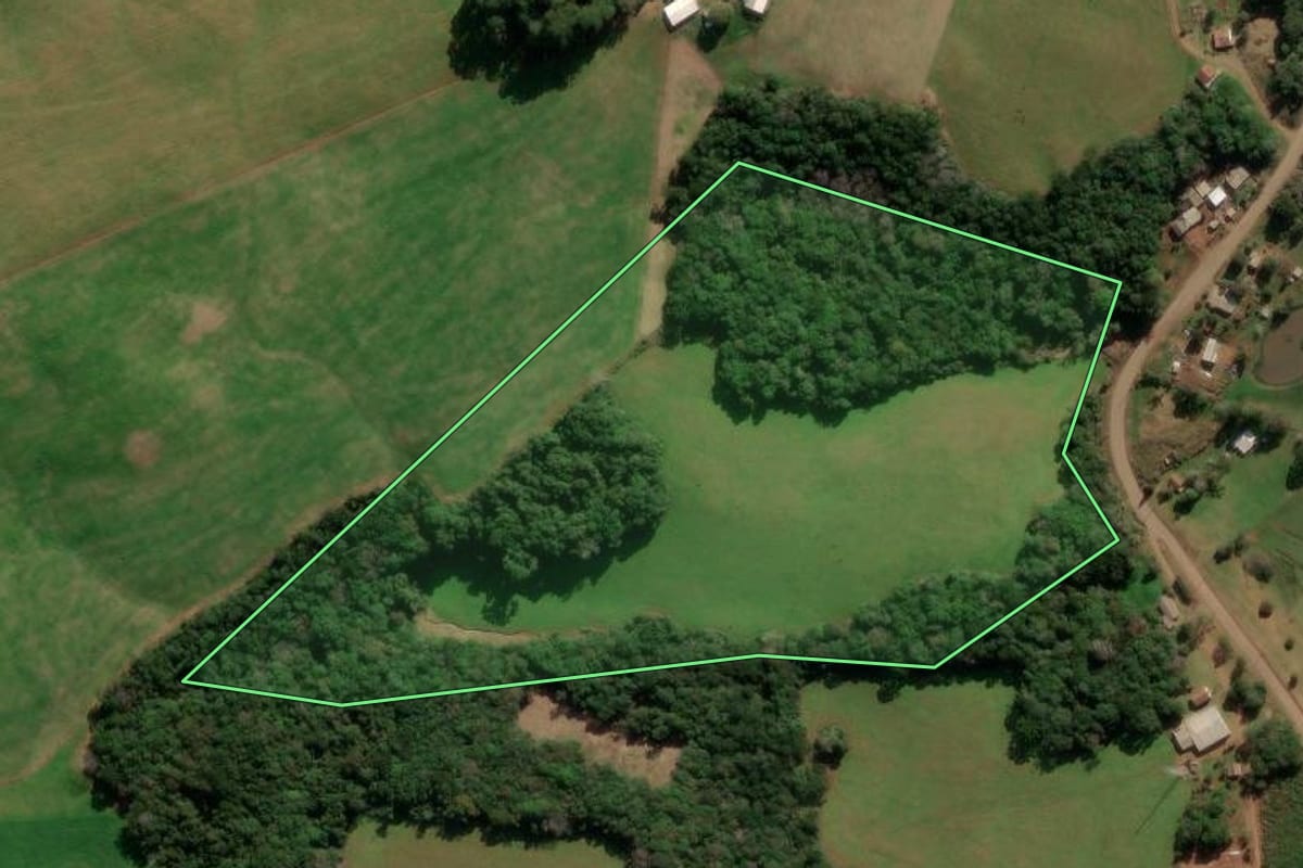 Imagem de satélite do imóvel rural em Lagoa Vermelha (RS), com o contorno declarado no CAR desenhado por cima.