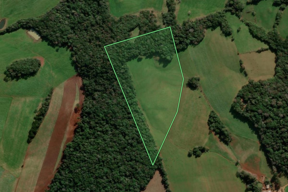 Imagem de satélite do imóvel rural em Lagoa Vermelha (RS), com o contorno declarado no CAR desenhado por cima.