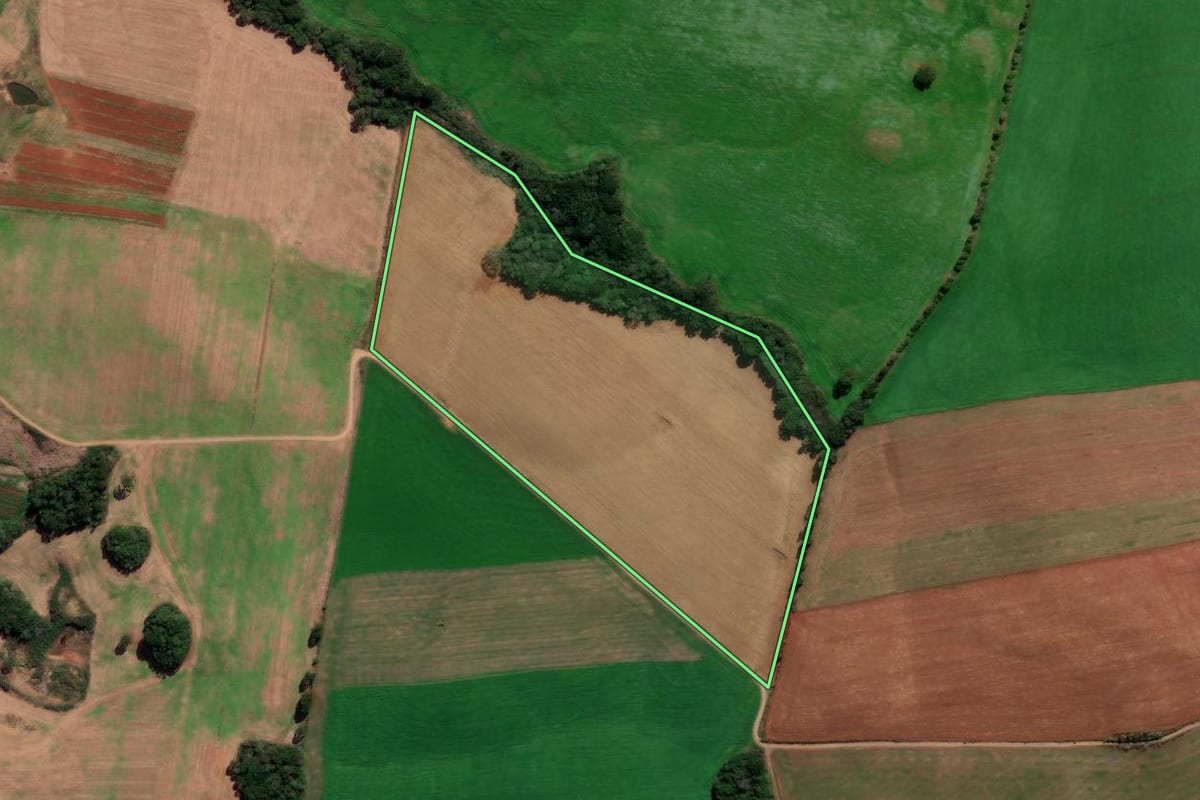 Imagem de satélite do imóvel rural em Lagoa Vermelha (RS), com o contorno declarado no CAR desenhado por cima.