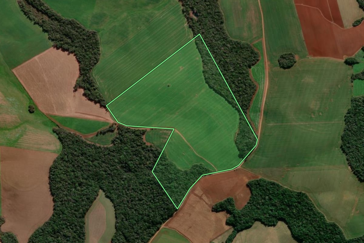 Imagem de satélite do imóvel rural em Lagoa Vermelha (RS), com o contorno declarado no CAR desenhado por cima.