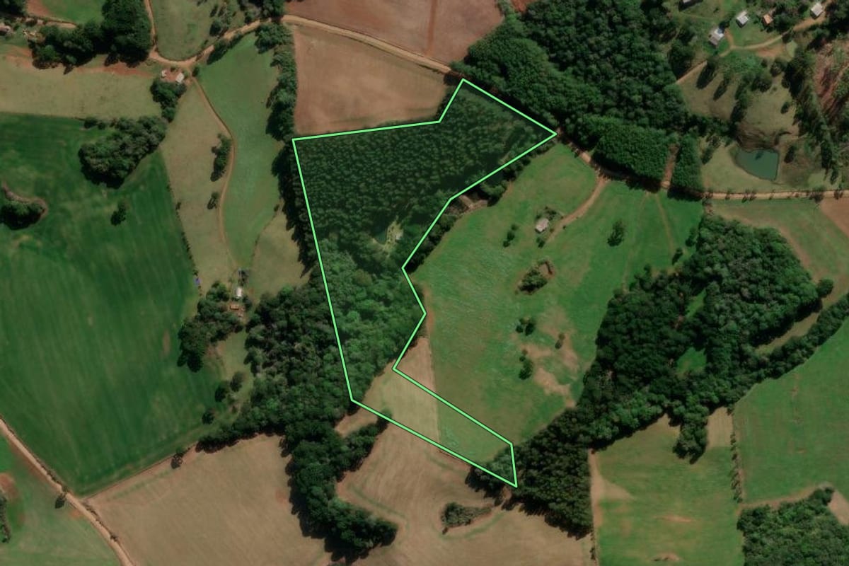 Imagem de satélite do imóvel rural em Lagoa Vermelha (RS), com o contorno declarado no CAR desenhado por cima.