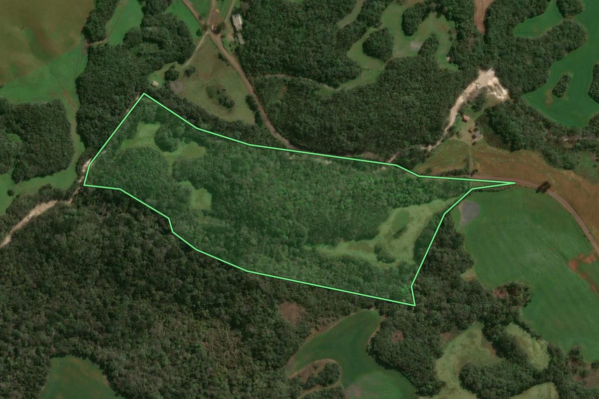 Imagem de satélite do imóvel rural em Lagoa Vermelha (RS), com o contorno declarado no CAR desenhado por cima.