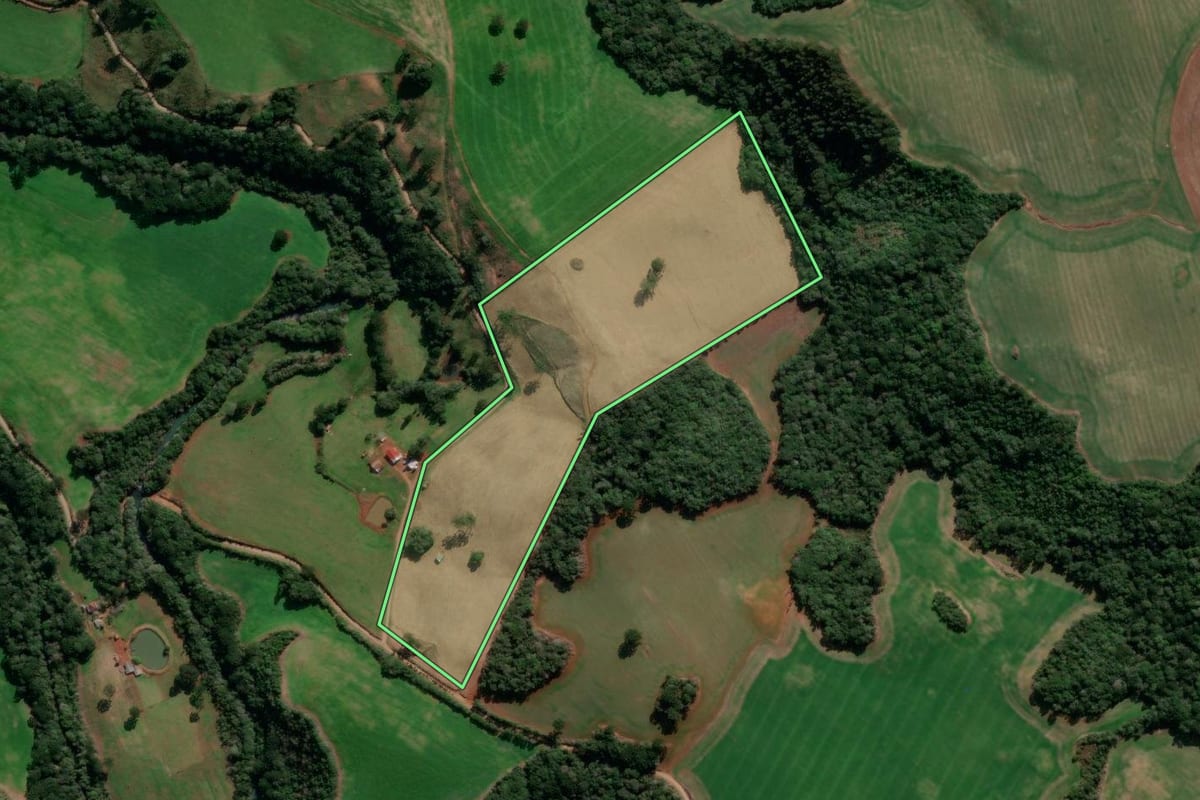 Imagem de satélite do imóvel rural em Lagoa Vermelha (RS), com o contorno declarado no CAR desenhado por cima.