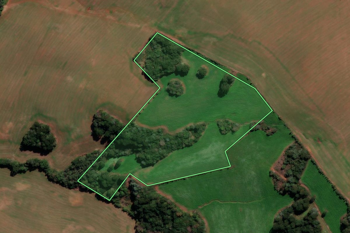 Imagem de satélite do imóvel rural em Lagoa Vermelha (RS), com o contorno declarado no CAR desenhado por cima.