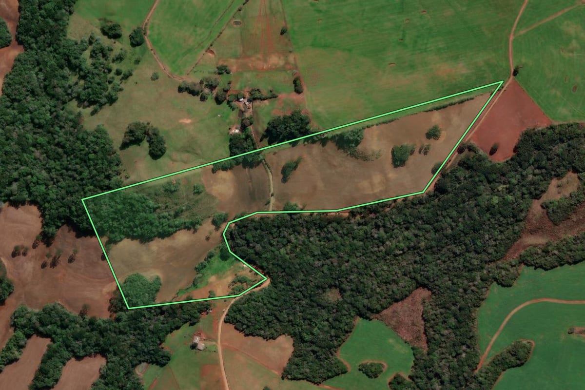 Imagem de satélite do imóvel rural em Lagoa Vermelha (RS), com o contorno declarado no CAR desenhado por cima.