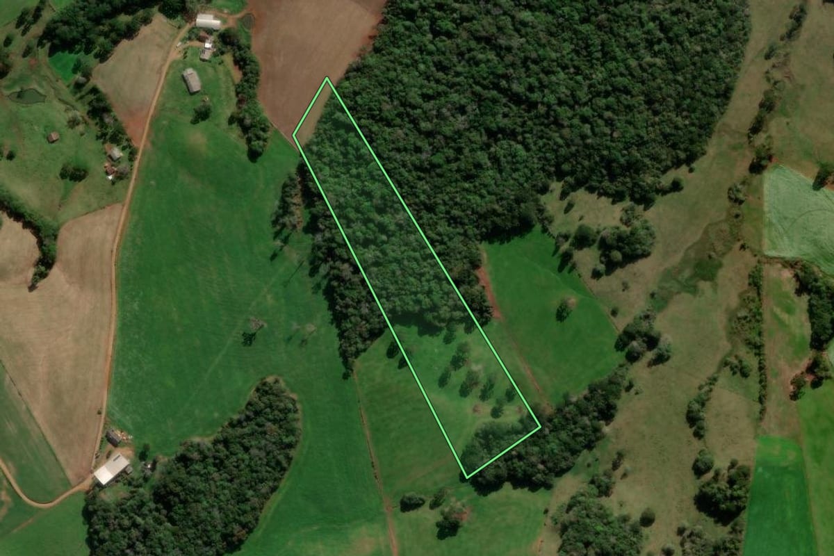 Imagem de satélite do imóvel rural em Lagoa Vermelha (RS), com o contorno declarado no CAR desenhado por cima.