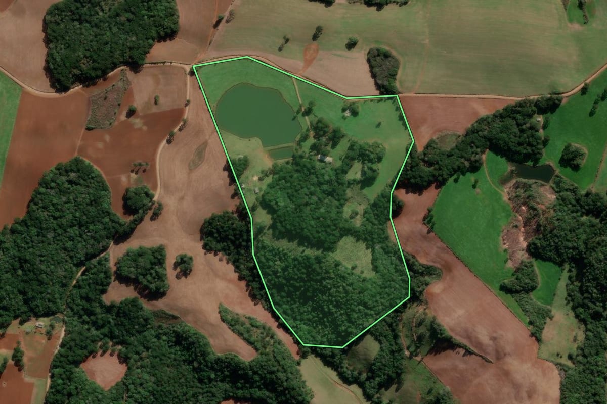 Imagem de satélite do imóvel rural em Lagoa Vermelha (RS), com o contorno declarado no CAR desenhado por cima.