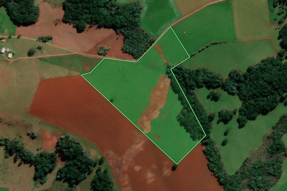Imagem de satélite do imóvel rural em Lagoa Vermelha (RS), com o contorno declarado no CAR desenhado por cima.