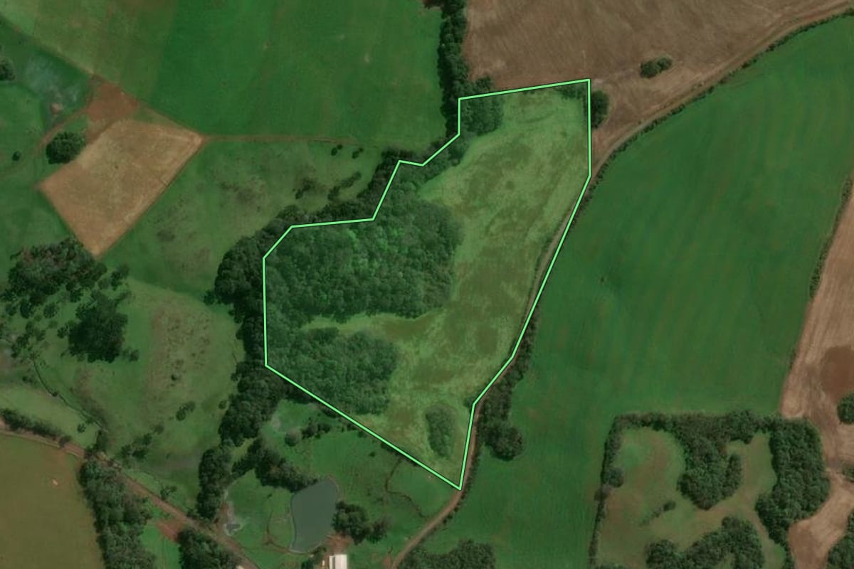 Imagem de satélite do imóvel rural em Lagoa Vermelha (RS), com o contorno declarado no CAR desenhado por cima.