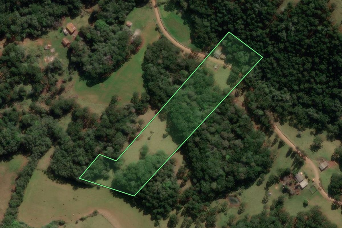 Imagem de satélite do imóvel rural em Lagoa Vermelha (RS), com o contorno declarado no CAR desenhado por cima.