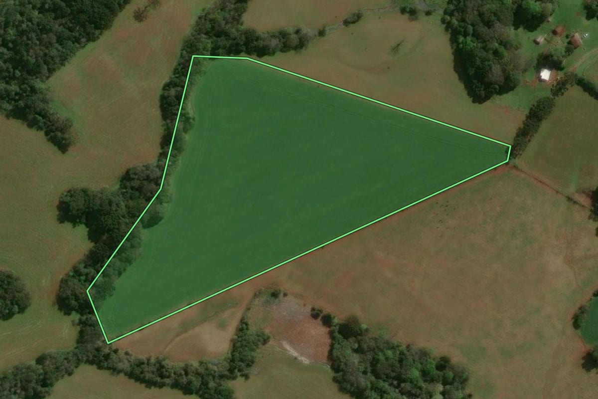 Imagem de satélite do imóvel rural em Lagoa Vermelha (RS), com o contorno declarado no CAR desenhado por cima.