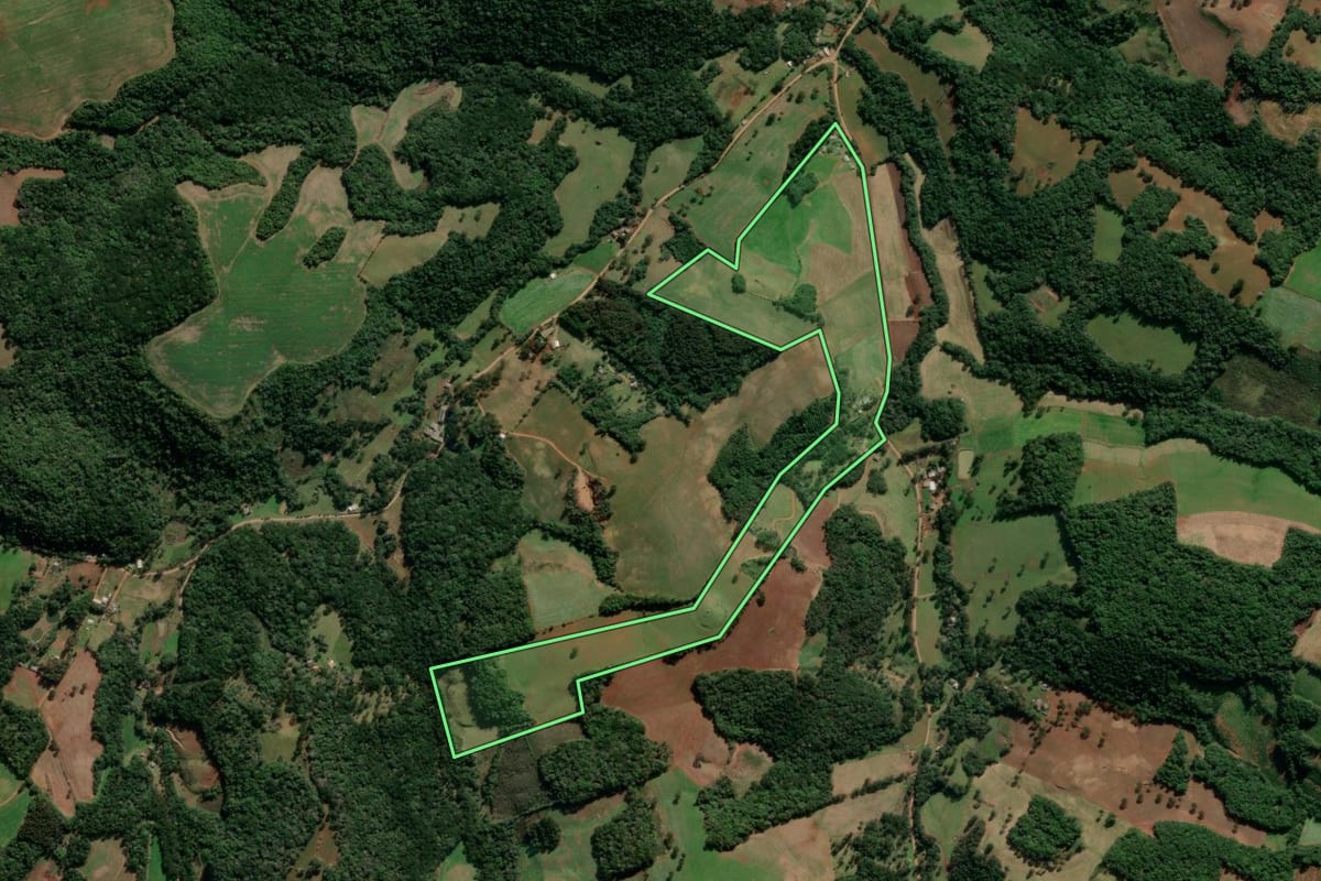 Imagem de satélite do imóvel rural em Lagoa Vermelha (RS), com o contorno declarado no CAR desenhado por cima.