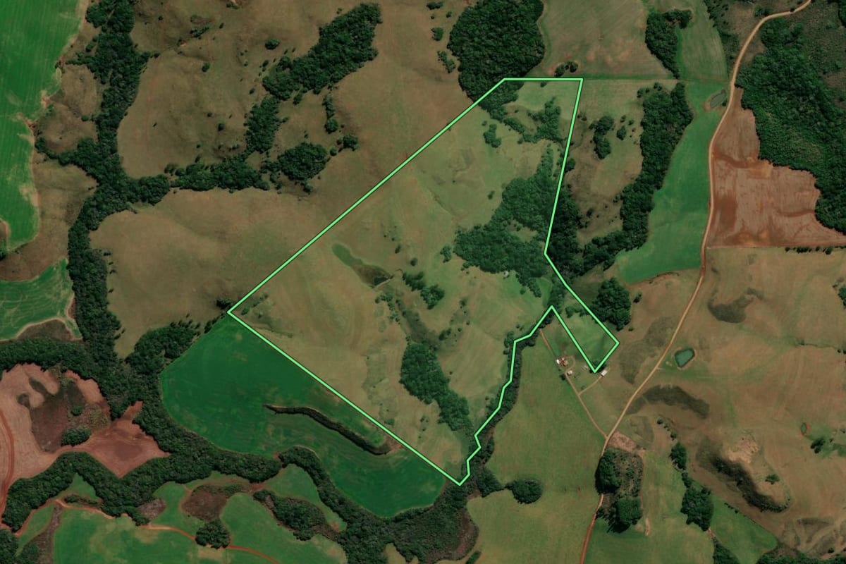Imagem de satélite do imóvel rural em Lagoa Vermelha (RS), com o contorno declarado no CAR desenhado por cima.