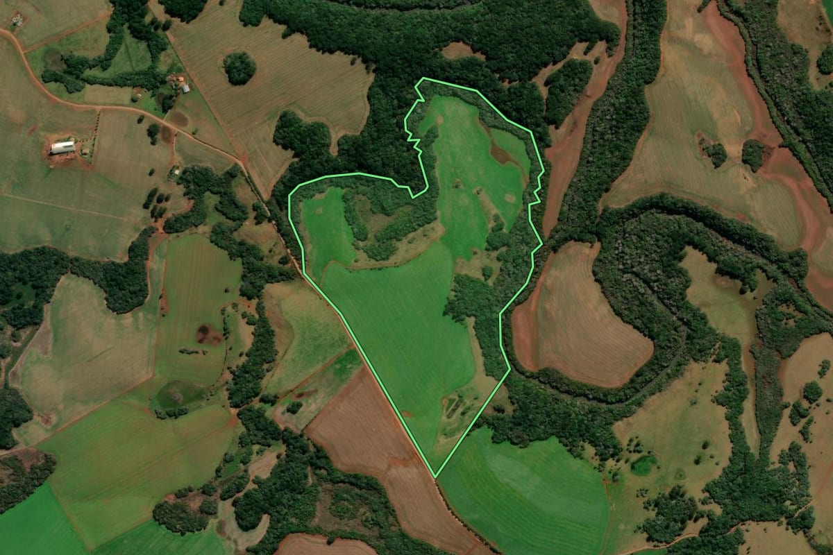 Imagem de satélite do imóvel rural em Lagoa Vermelha (RS), com o contorno declarado no CAR desenhado por cima.