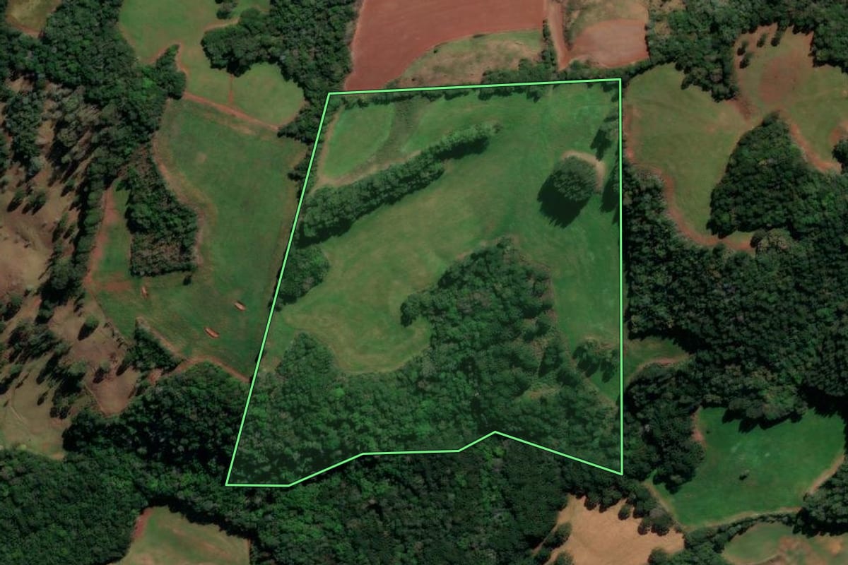 Imagem de satélite do imóvel rural em Lagoa Vermelha (RS), com o contorno declarado no CAR desenhado por cima.