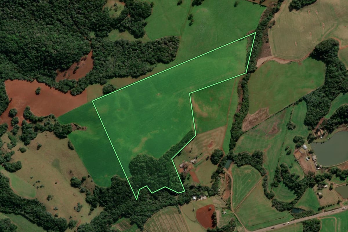 Imagem de satélite do imóvel rural em Lagoa Vermelha (RS), com o contorno declarado no CAR desenhado por cima.