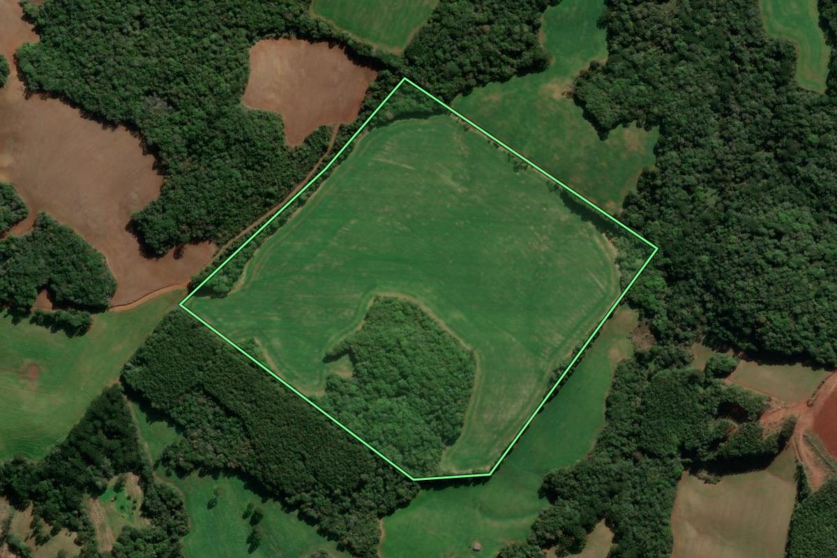 Imagem de satélite do imóvel rural em Lagoa Vermelha (RS), com o contorno declarado no CAR desenhado por cima.