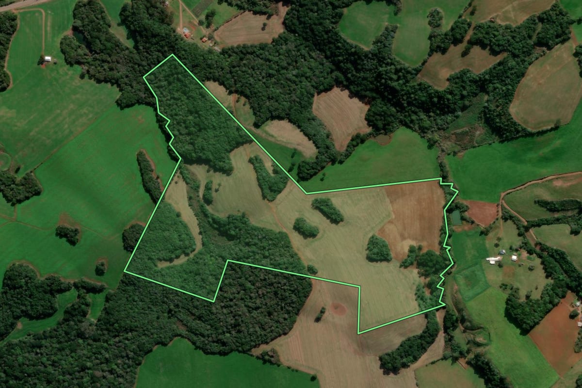 Imagem de satélite do imóvel rural em Lagoa Vermelha (RS), com o contorno declarado no CAR desenhado por cima.