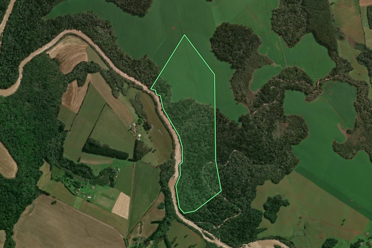 Imagem de satélite do imóvel rural em Lagoa Vermelha (RS), com o contorno declarado no CAR desenhado por cima.