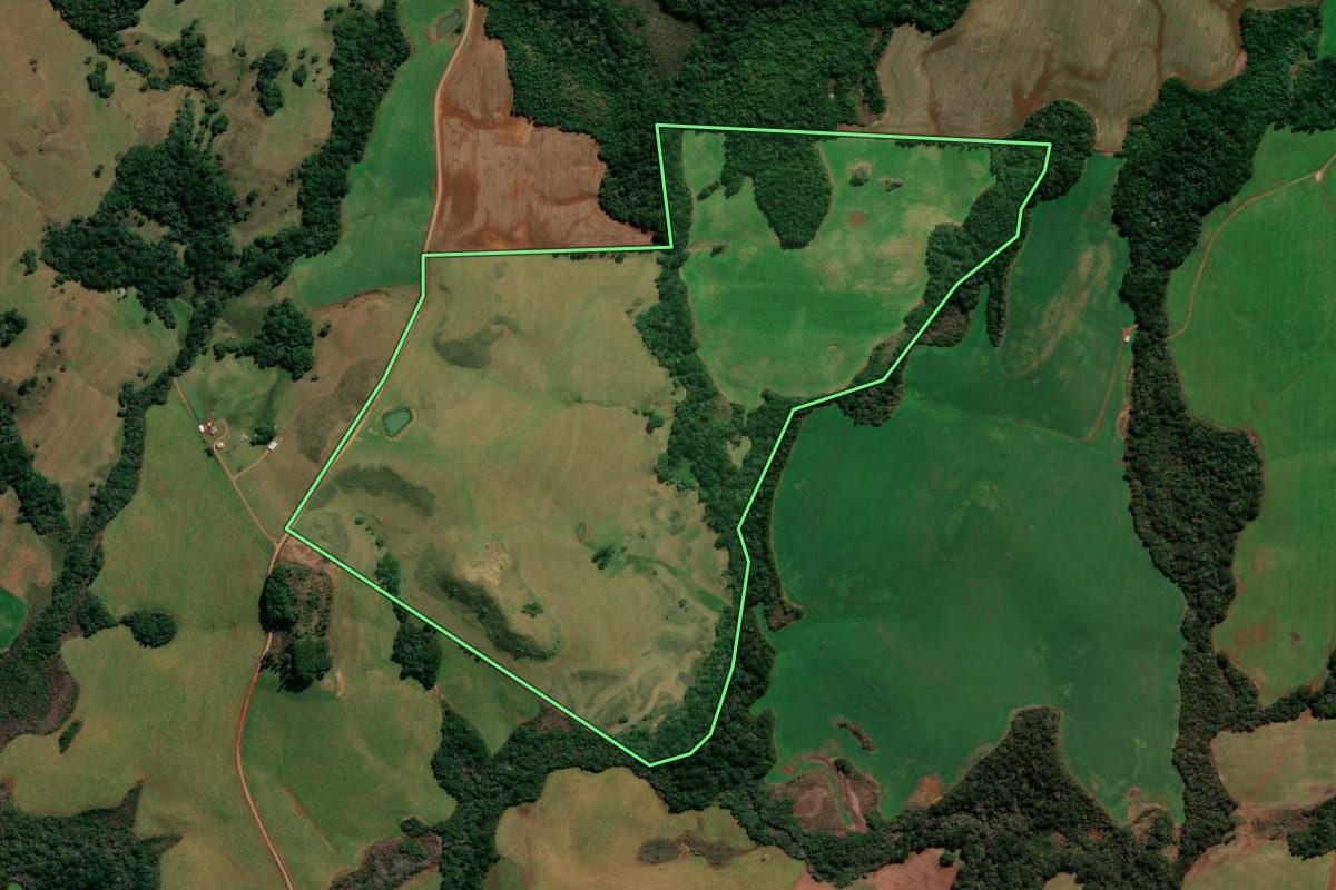 Imagem de satélite do imóvel rural em Lagoa Vermelha (RS), com o contorno declarado no CAR desenhado por cima.