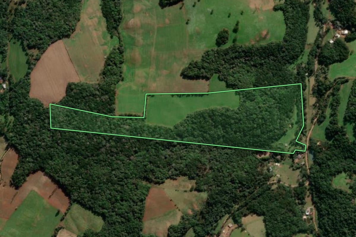 Imagem de satélite do imóvel rural em Lagoa Vermelha (RS), com o contorno declarado no CAR desenhado por cima.