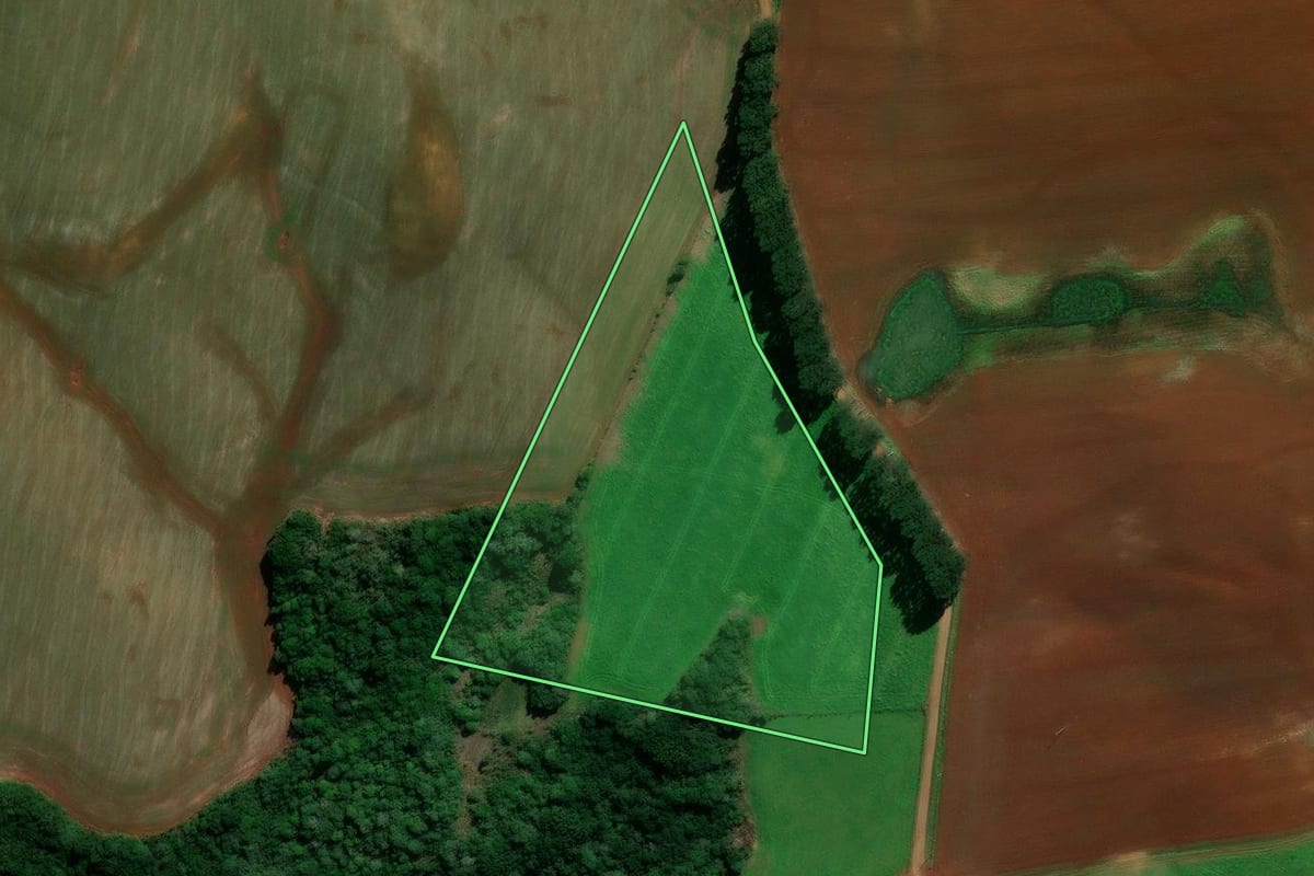 Imagem de satélite do imóvel rural em Lagoa Vermelha (RS), com o contorno declarado no CAR desenhado por cima.