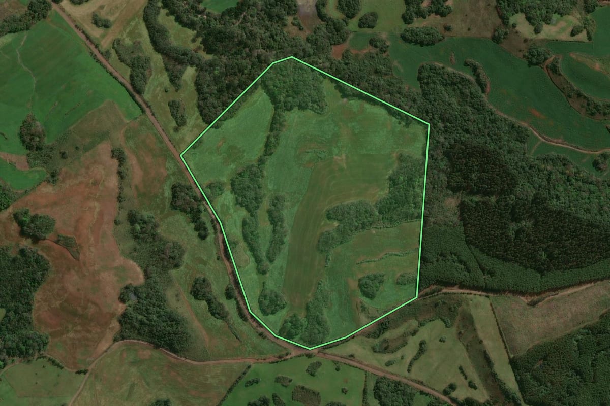 Imagem de satélite do imóvel rural em Lagoa Vermelha (RS), com o contorno declarado no CAR desenhado por cima.