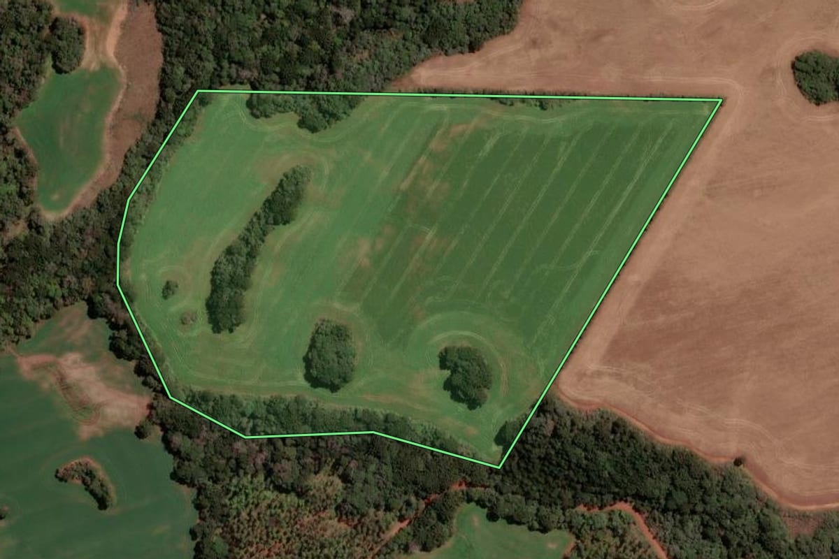 Imagem de satélite do imóvel rural em Lagoa Vermelha (RS), com o contorno declarado no CAR desenhado por cima.