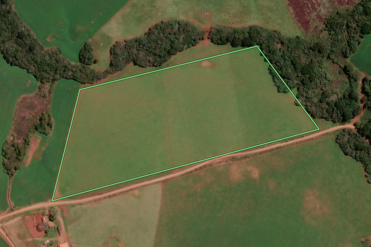 Imagem de satélite do imóvel rural em Lagoa Vermelha (RS), com o contorno declarado no CAR desenhado por cima.