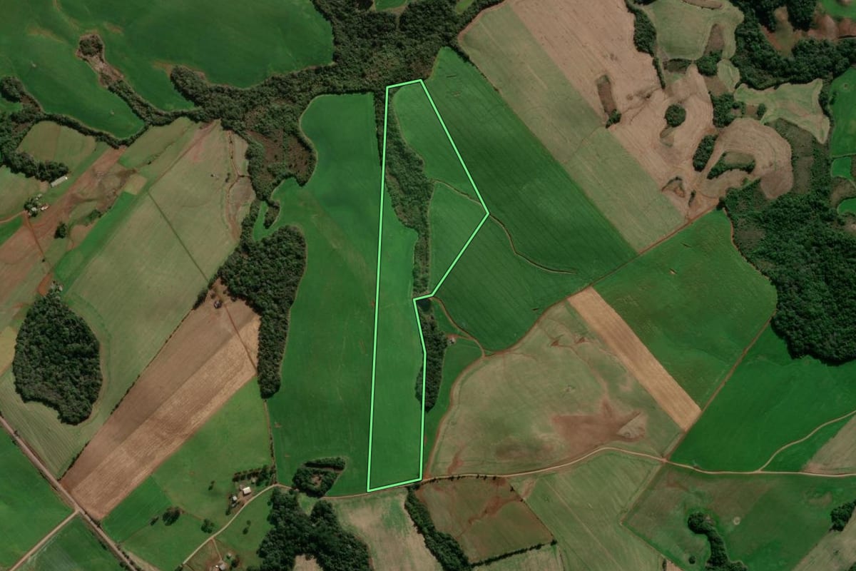 Imagem de satélite do imóvel rural em Lagoa Vermelha (RS), com o contorno declarado no CAR desenhado por cima.