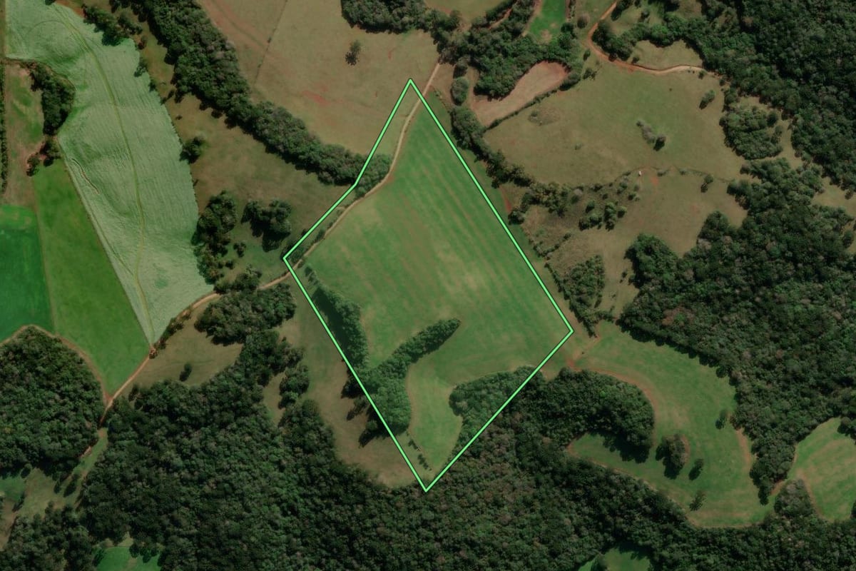Imagem de satélite do imóvel rural em Lagoa Vermelha (RS), com o contorno declarado no CAR desenhado por cima.