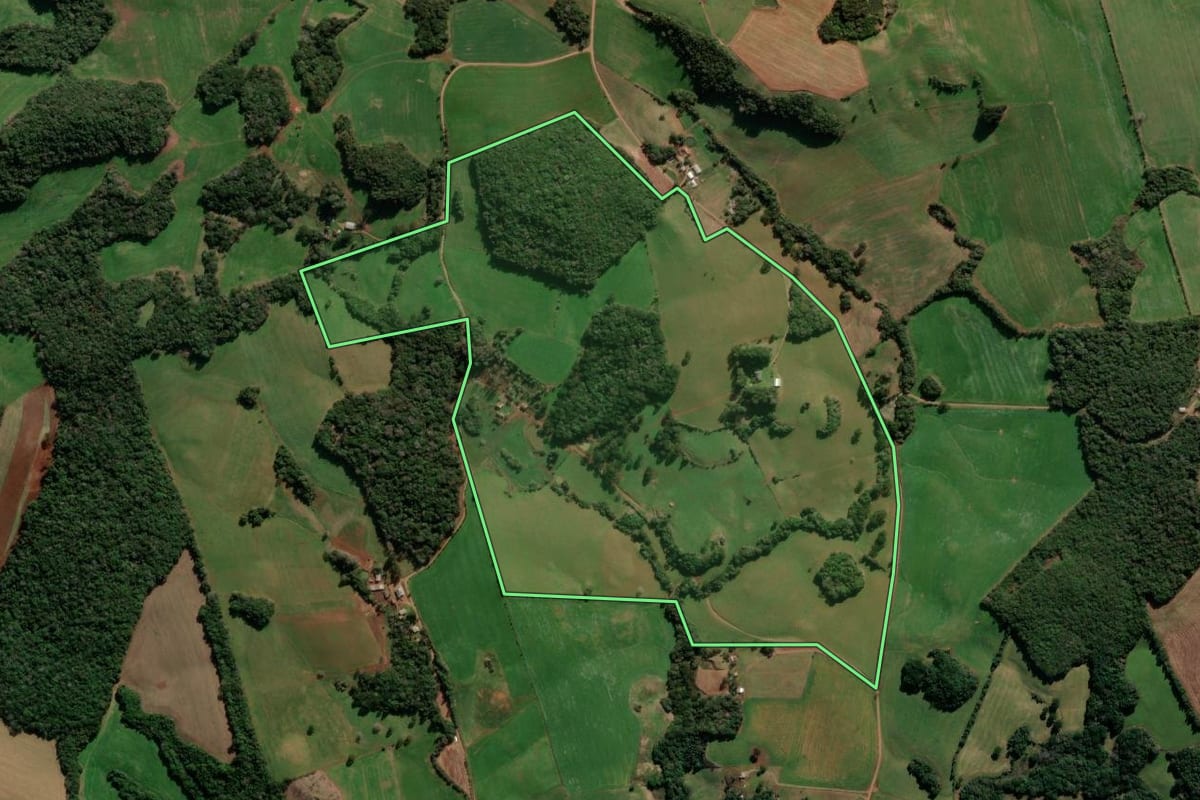 Imagem de satélite do imóvel rural em Lagoa Vermelha (RS), com o contorno declarado no CAR desenhado por cima.