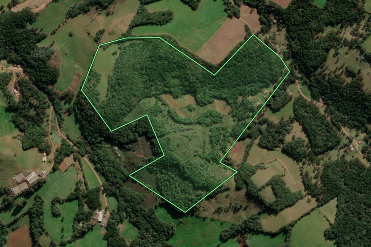 Imagem de satélite do imóvel rural em Lagoa Vermelha (RS), com o contorno declarado no CAR desenhado por cima.