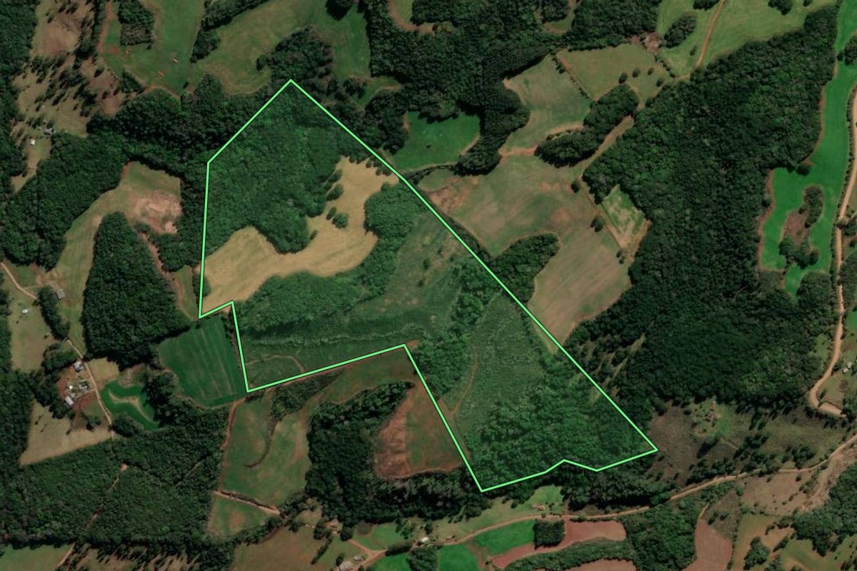 Imagem de satélite do imóvel rural em Lagoa Vermelha (RS), com o contorno declarado no CAR desenhado por cima.