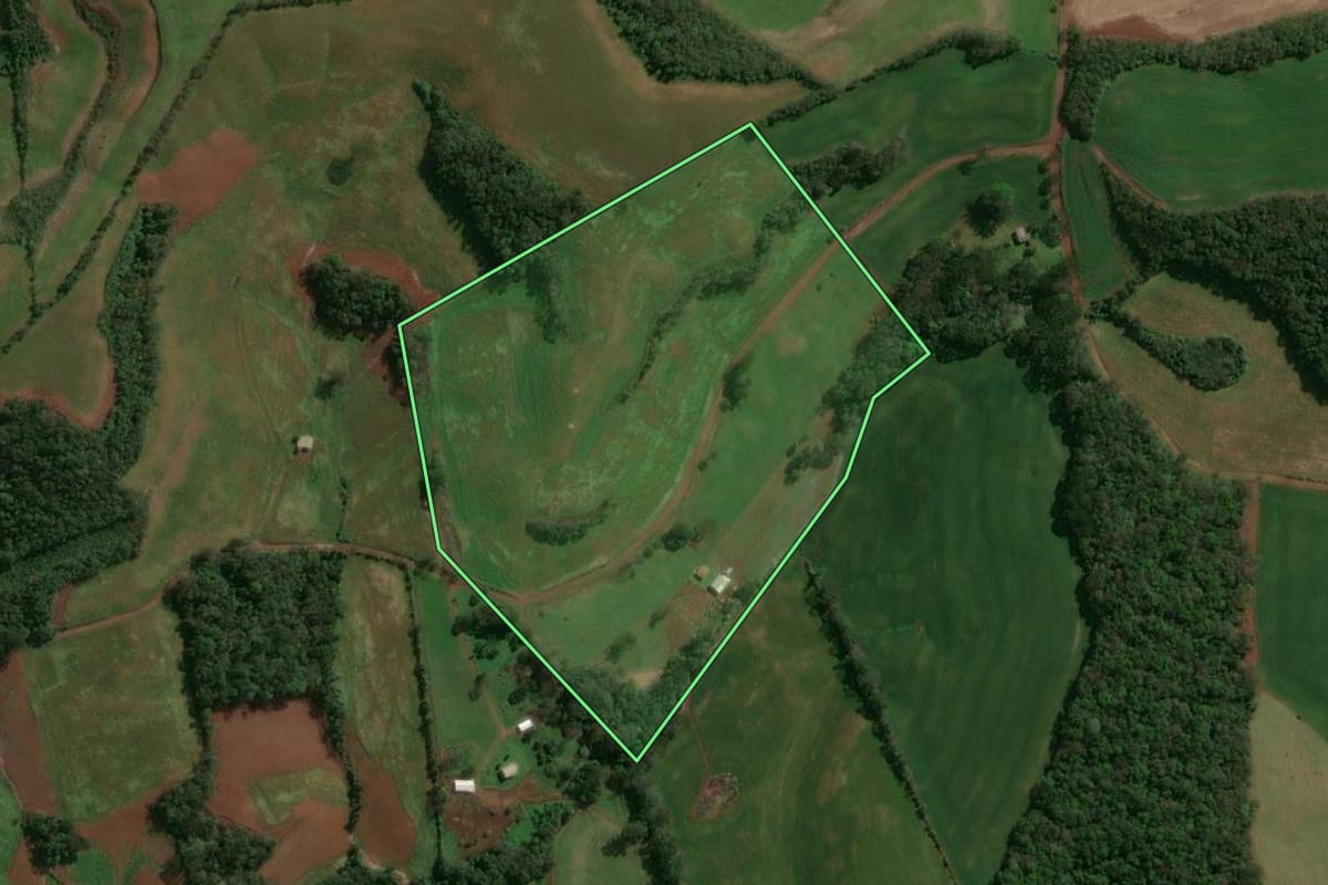 Imagem de satélite do imóvel rural em Lagoa Vermelha (RS), com o contorno declarado no CAR desenhado por cima.