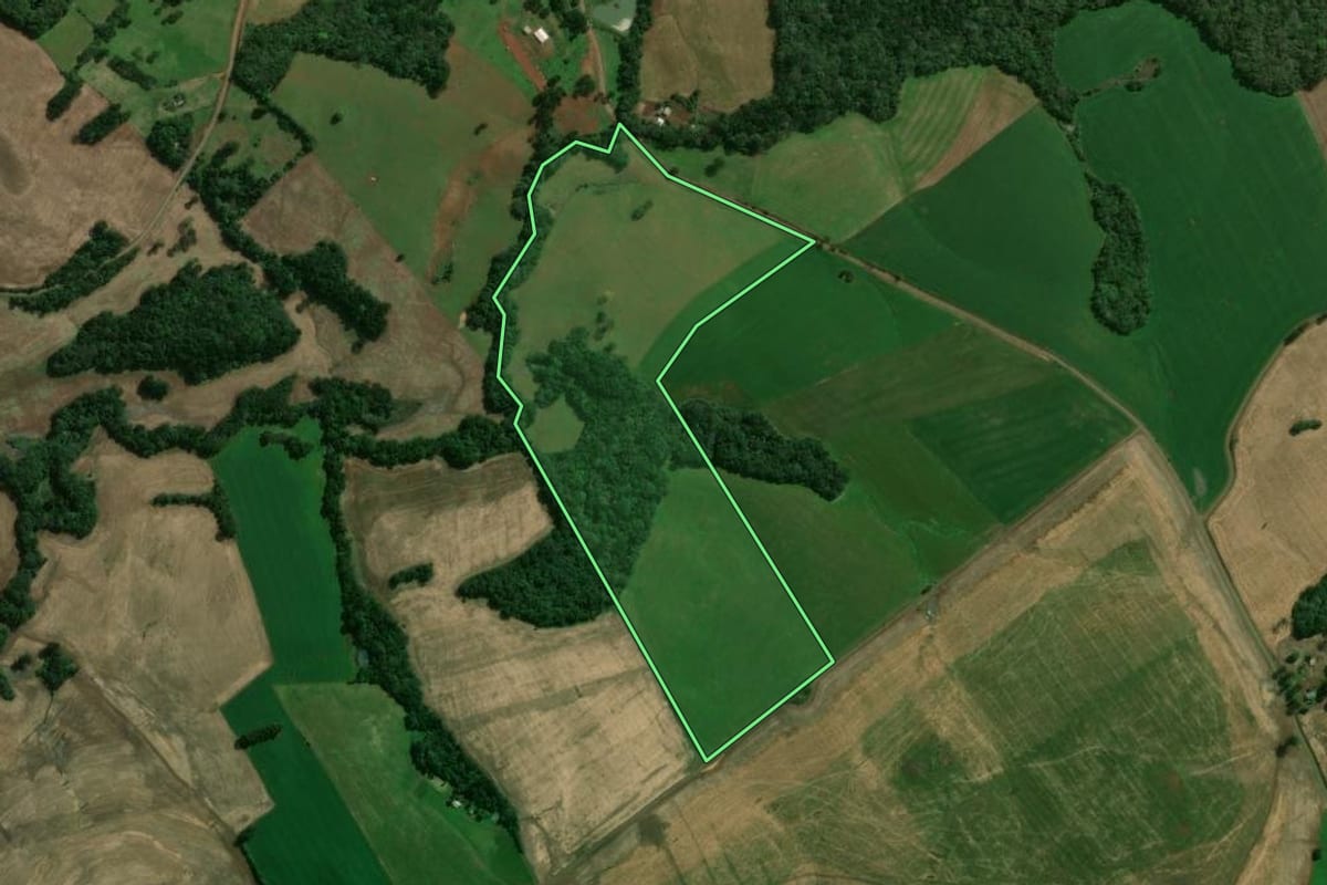 Imagem de satélite do imóvel rural em Lagoa Vermelha (RS), com o contorno declarado no CAR desenhado por cima.