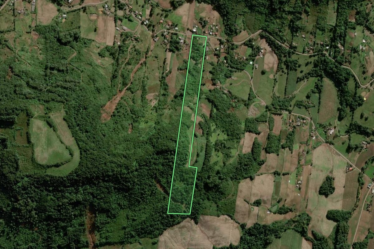 Imagem de satélite do imóvel rural em Lajeado (RS), com o contorno declarado no CAR desenhado por cima.