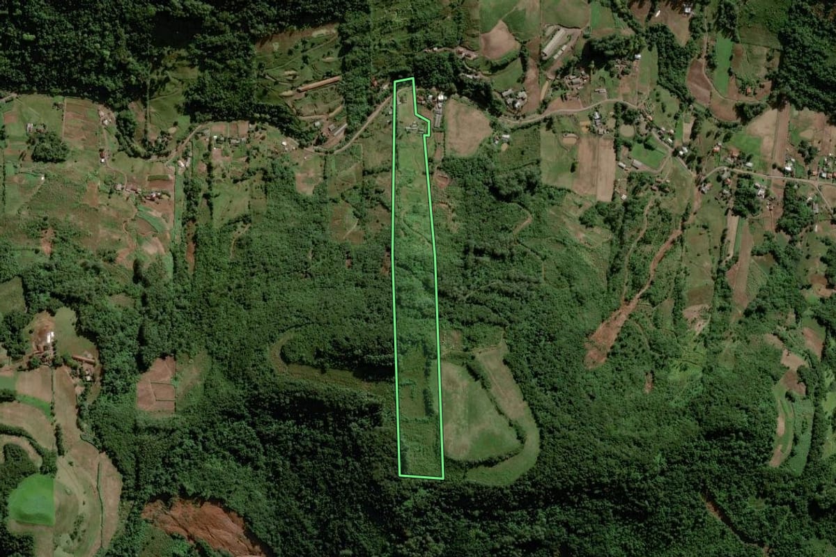 Imagem de satélite do imóvel rural em Lajeado (RS), com o contorno declarado no CAR desenhado por cima.