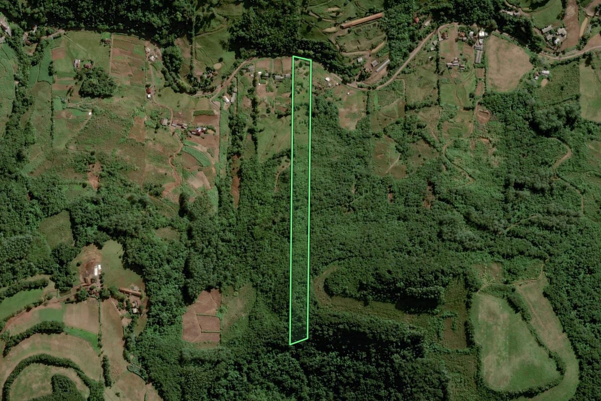 Imagem de satélite do imóvel rural em Lajeado (RS), com o contorno declarado no CAR desenhado por cima.