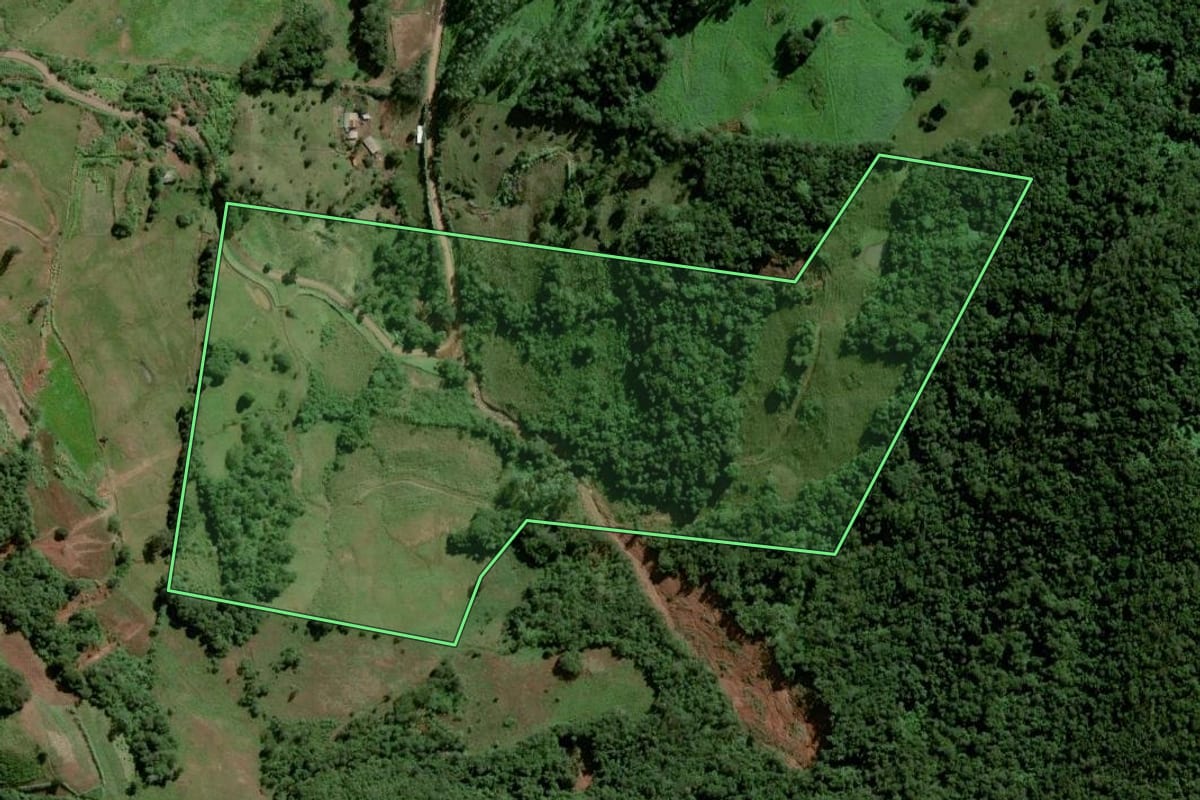 Imagem de satélite do imóvel rural em Lajeado (RS), com o contorno declarado no CAR desenhado por cima.