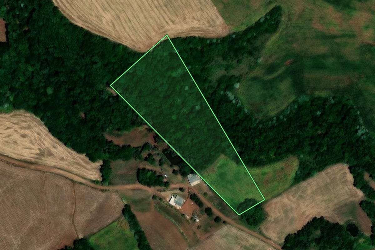 Imagem de satélite do imóvel rural em Lajeado do Bugre (RS), com o contorno declarado no CAR desenhado por cima.